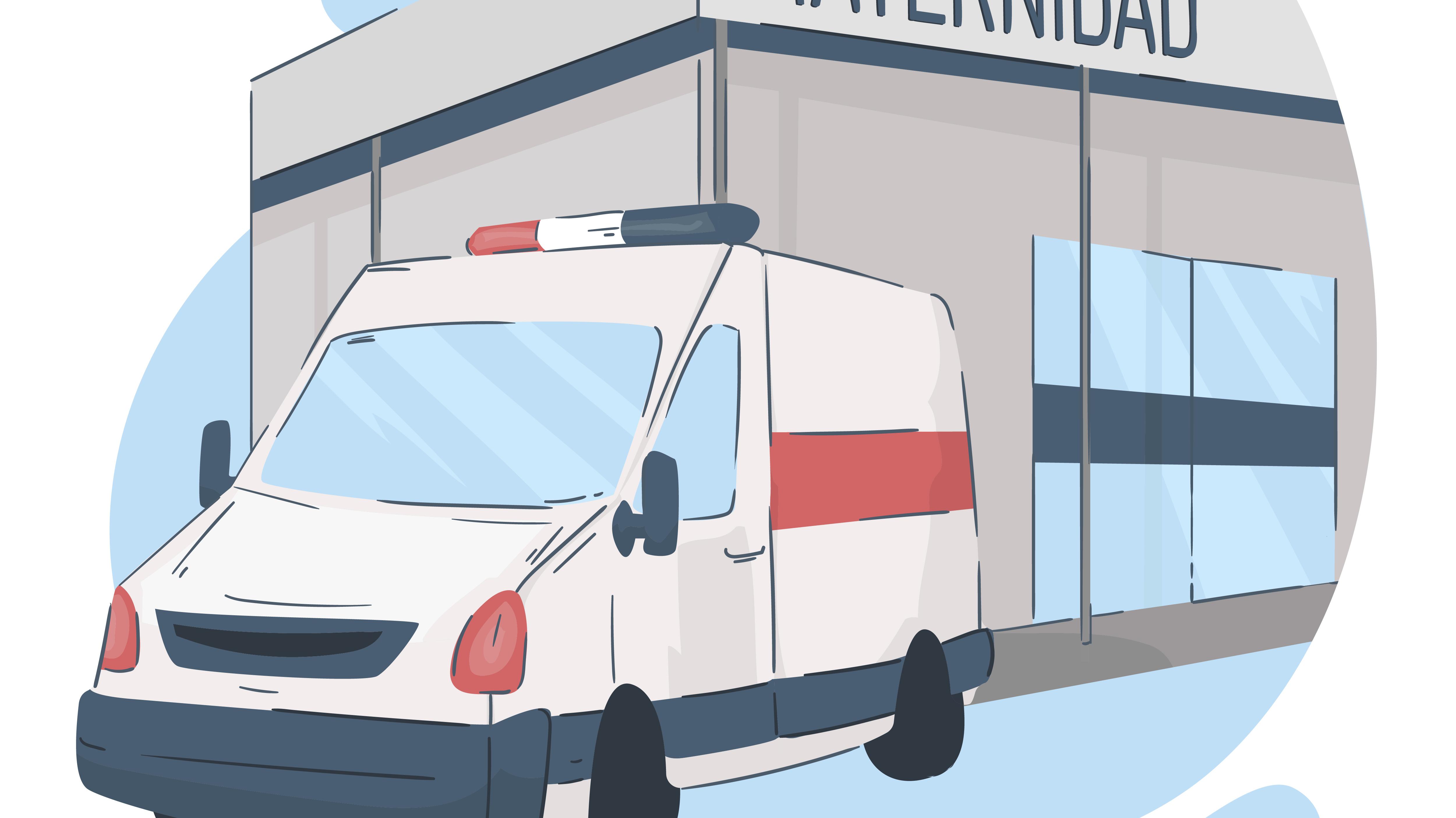 Transporte neoatal: investigación