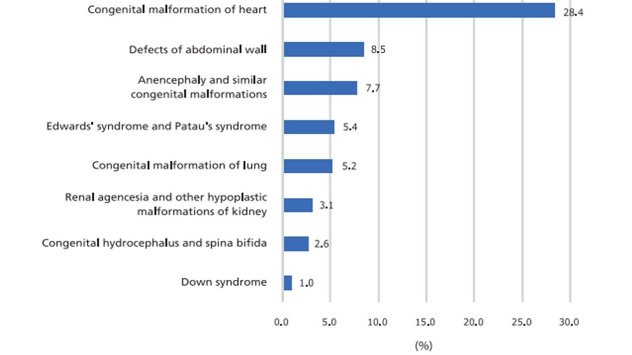 defeitos congênitos mortalidade