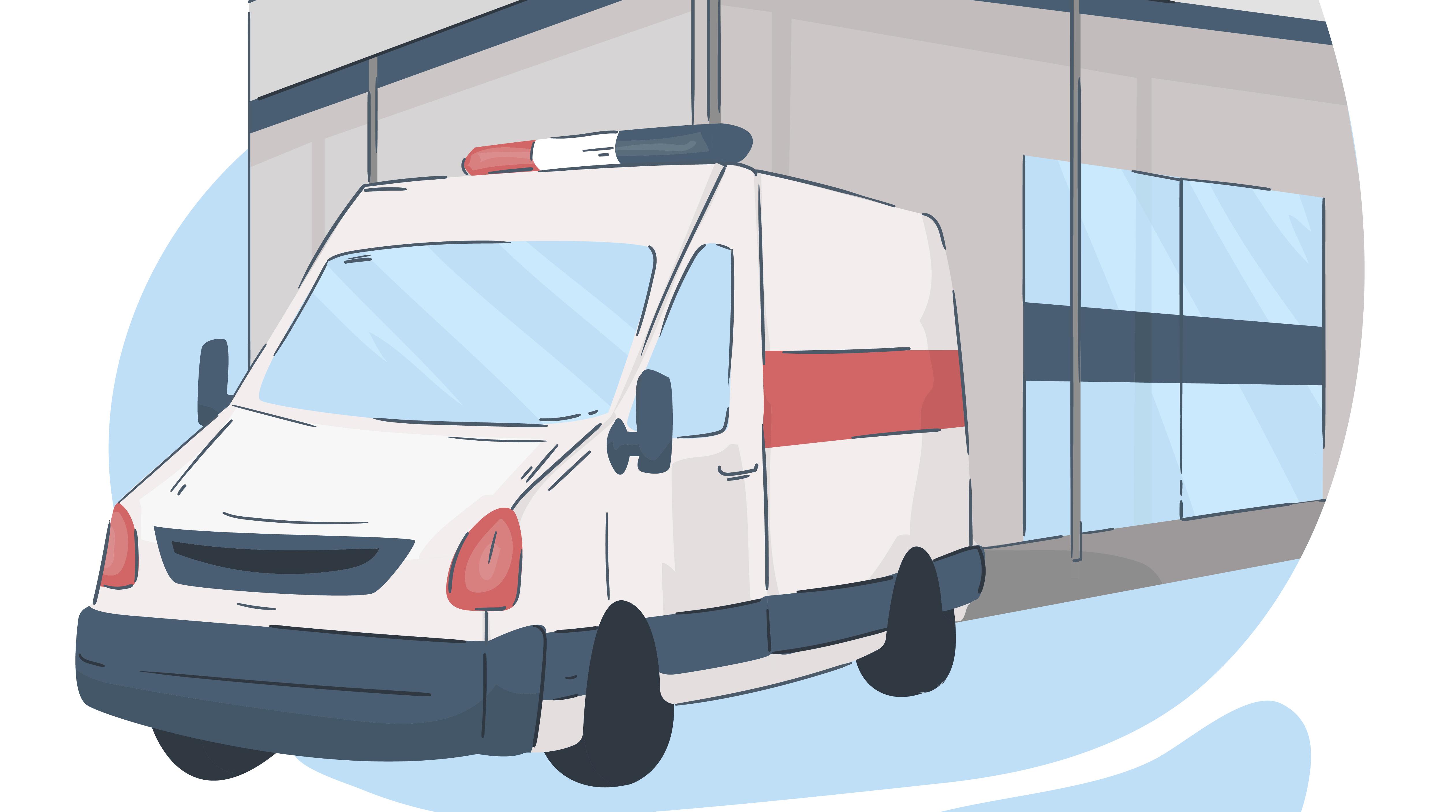 Transport néonatal pesquisa